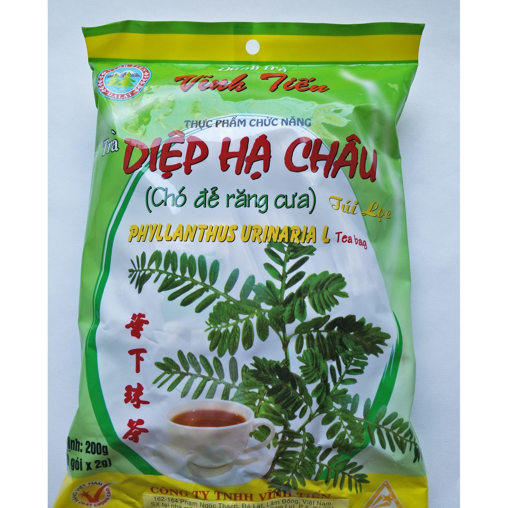 Trà diệp hạ châu Vĩnh Tiến 100 túi lọc