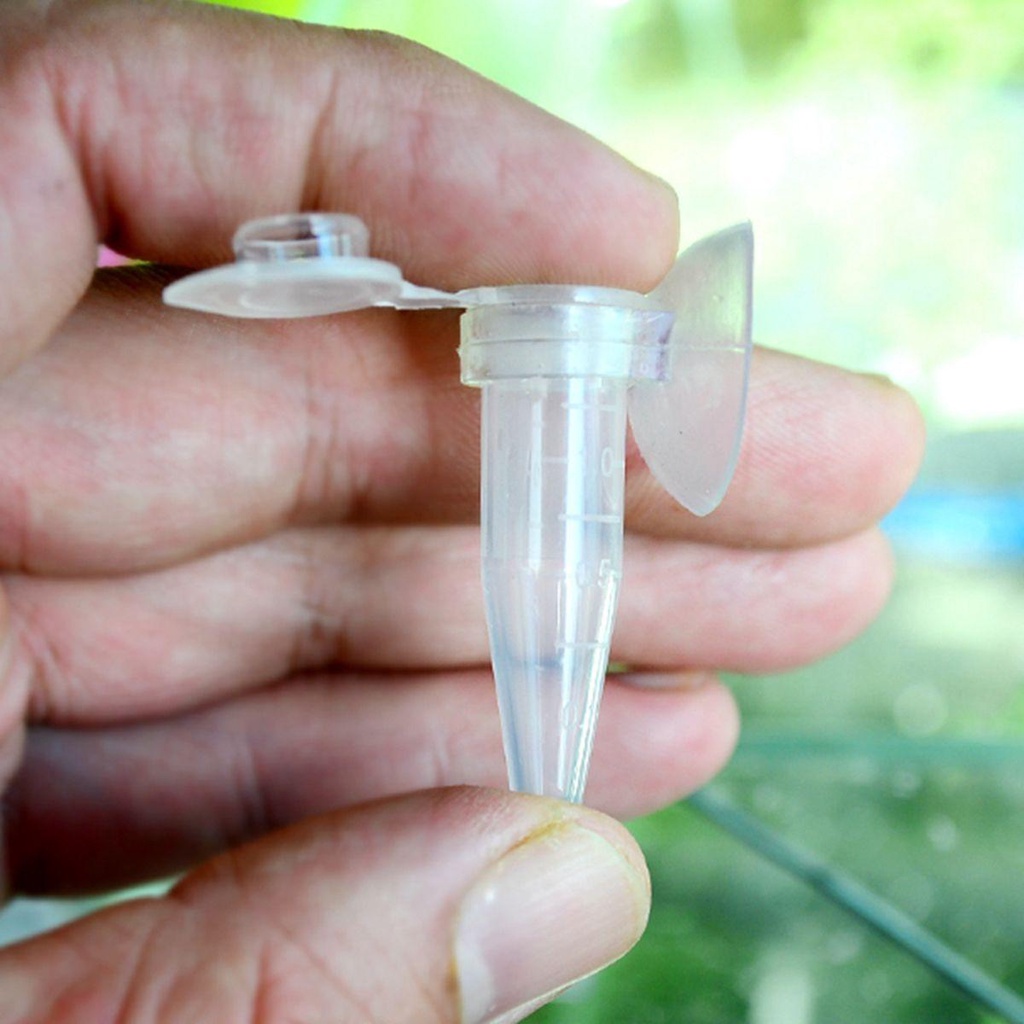 DARON Funnel Cup Red Worm Shrimp Eggs Aquatic Fish Feeding Tool Pet Cone Feeder