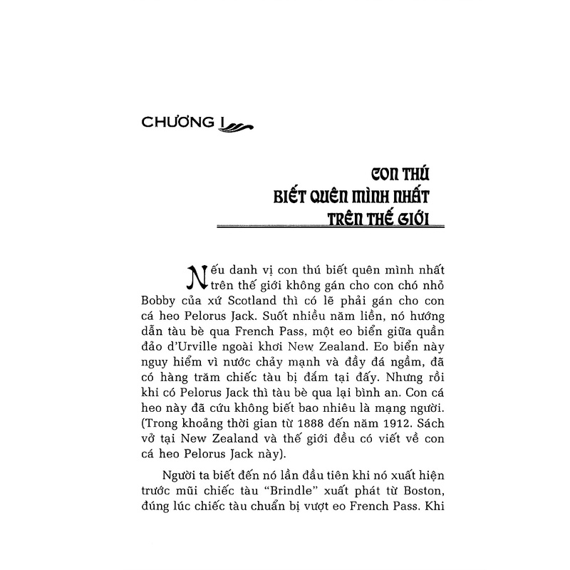 Sách - Dứt Bệnh Nan Y - Ung Thư Cao Huyết Áp Tiểu Đường (HT)