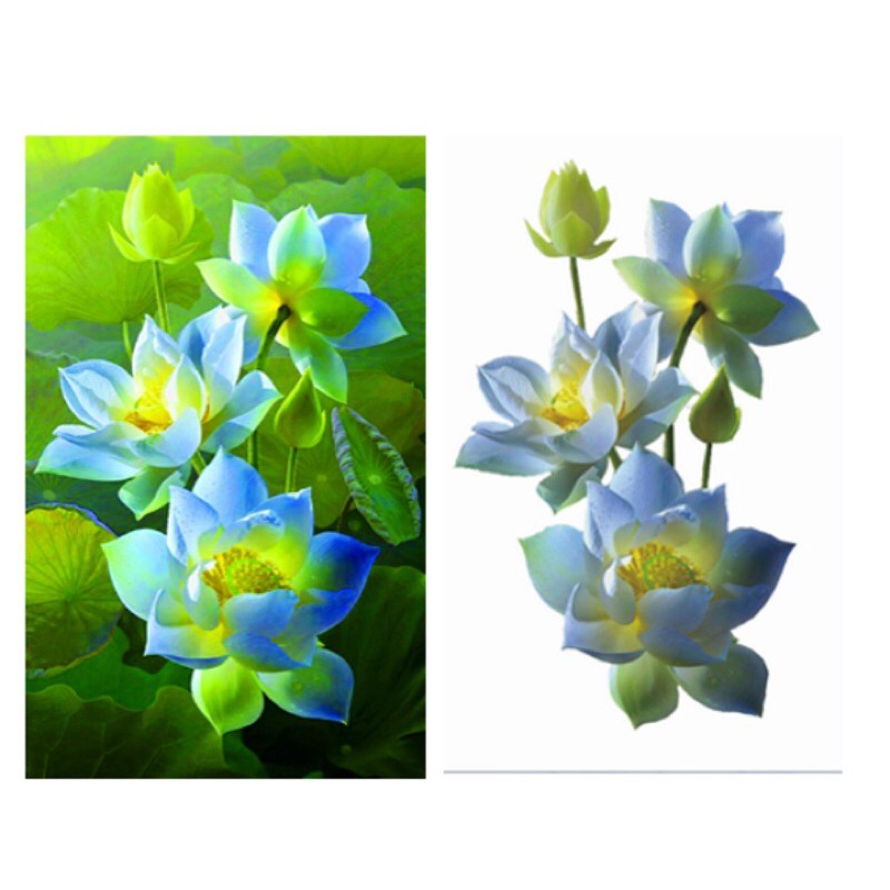 Tranh đính đá Hoa Sen VS125 (75x50) chưa đính