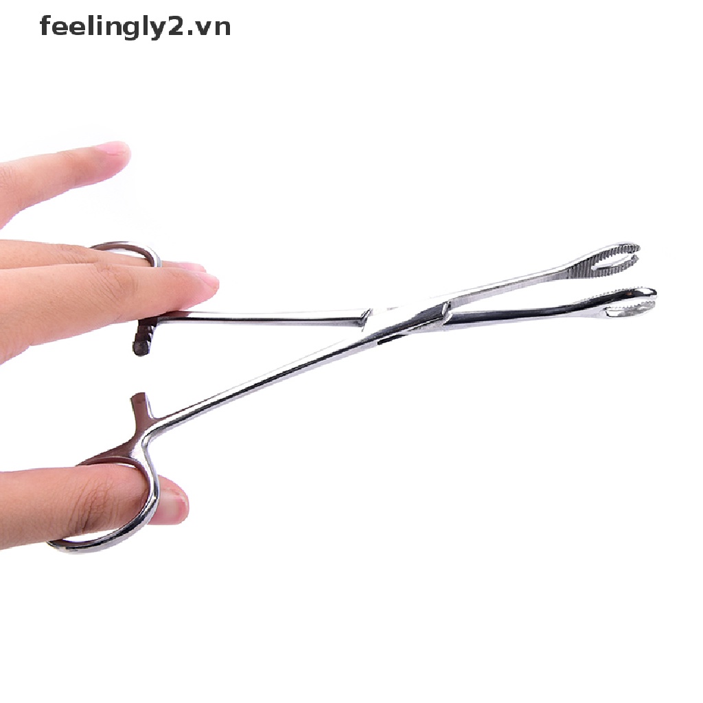 Khuyên Xỏ Cơ Thể Đặc Biệt