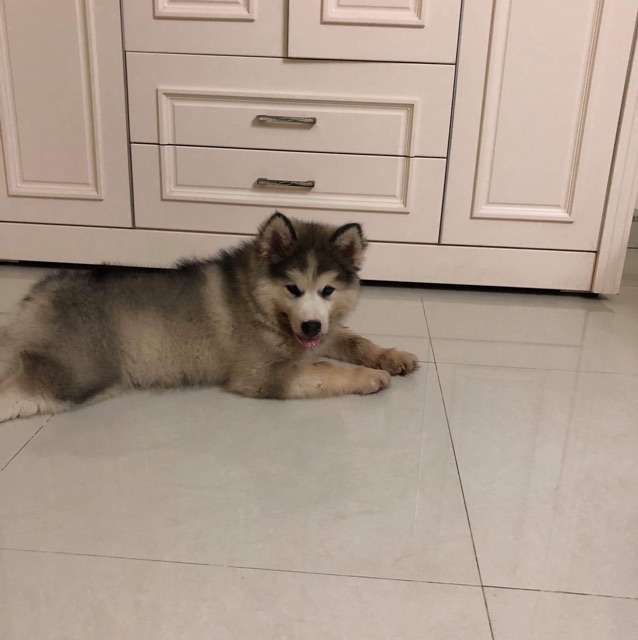 CHIPCHIPClothing13TranPhu