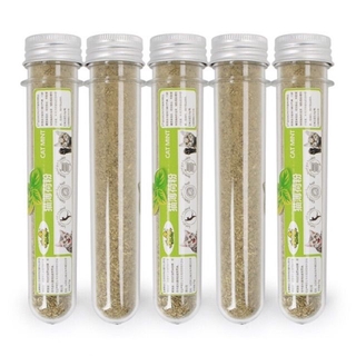 Cỏ Mèo Catnip