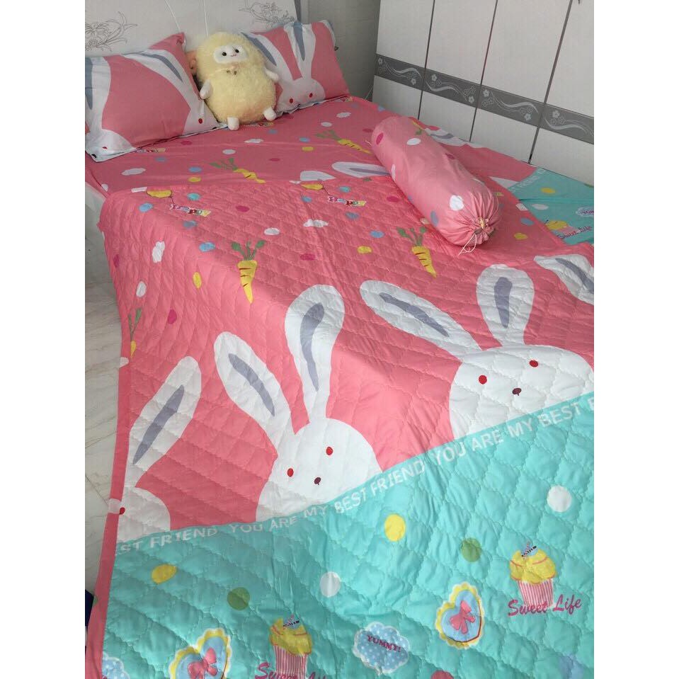 [SIÊU SALE] [HỔ TRỢ PVC] Xả kho cuối năm bộ drap giường  cotton poly mềm mịn (chọn mẫu) | BigBuy360 - bigbuy360.vn