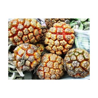 TRÁI DỨA DẠI - 1Kg