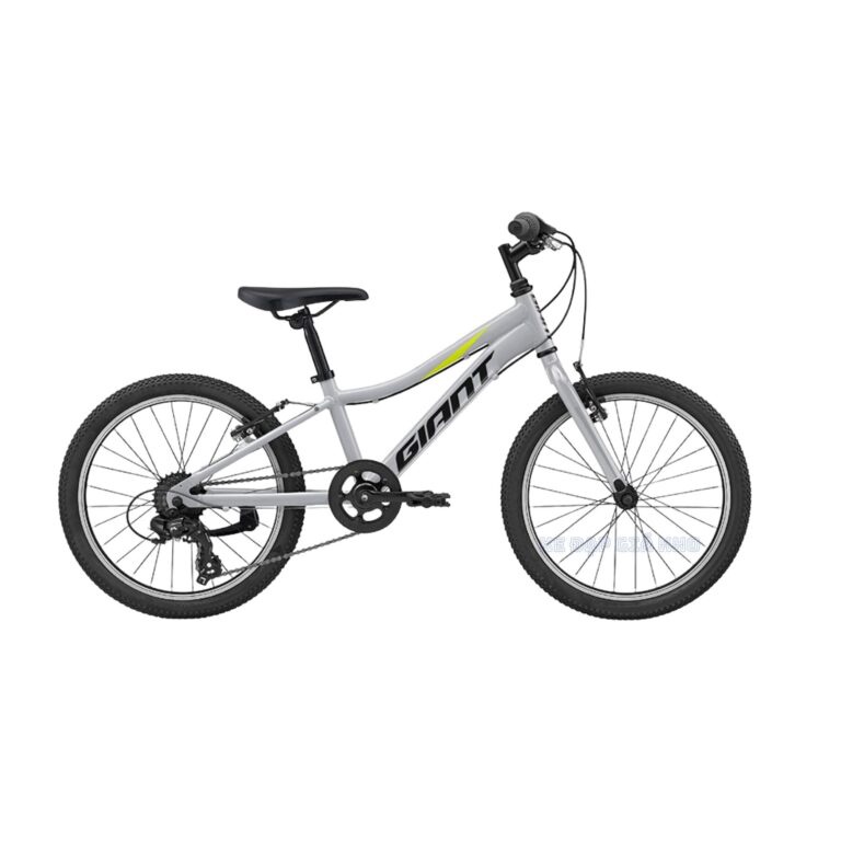 Xe Đạp Trẻ Em Youth GIANT XTC JR 20 Lite 2022 – QT