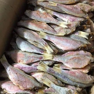 1kg CÁ PHÈN CHỈ khô thịt thơm ngon