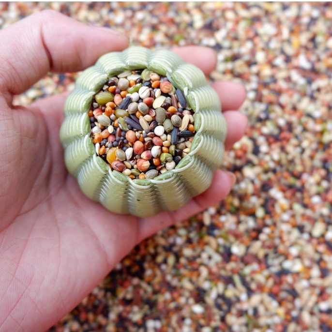 Thức Ăn Chim Cu Gáy Ngũ Cốc 20 Loại Hạt