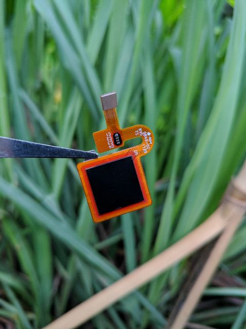 Vân tay Redmi 5 plus