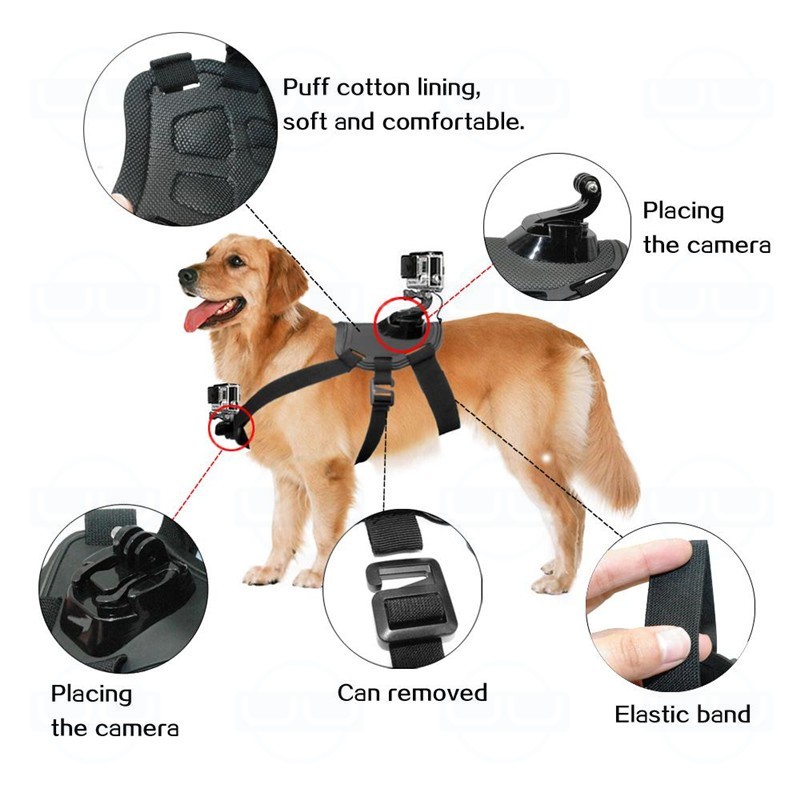 GoPro Harness Back + Chest Strap Mount for Hound Dog PET Elastic Belt Mount