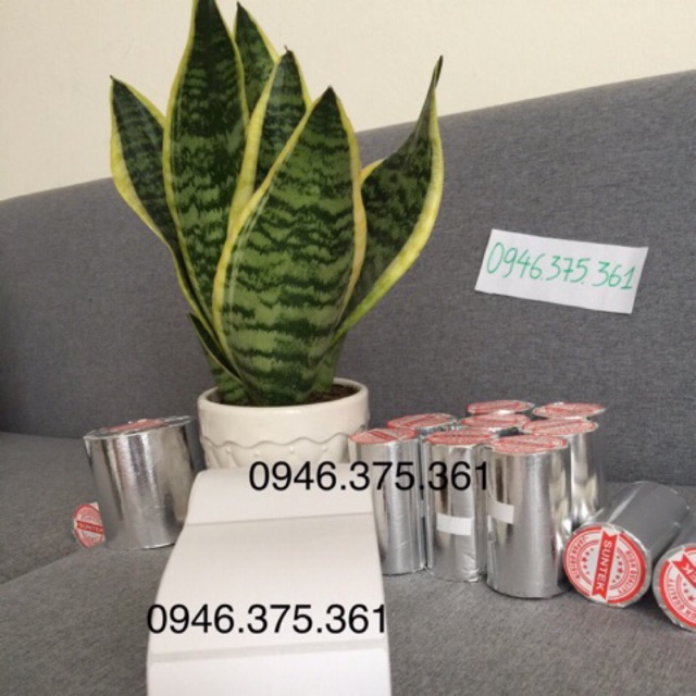 Combo 50 cuộn giấy in bill k58 in hoá đơn nhiệt mực đen