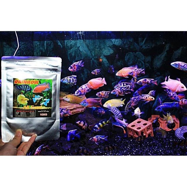 Cám cá dành cho dòng ali