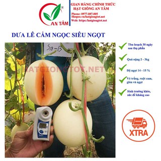 Hạt giống dưa lê cẩm ngọc