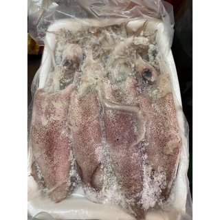MỰC ỐNG - Khay 500gr