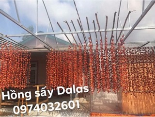 Organic 100% hồng sấy dẻo Đà Lạt