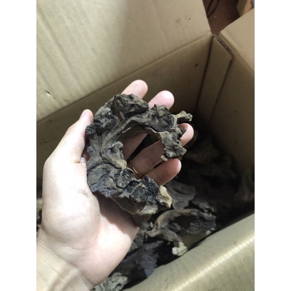 Gỗ lũa ĐÃ XỬ LÝ để setup bố cục cho hồ thủy sinh