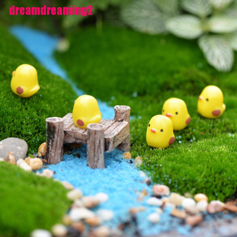 Set 5 mô hình chú gà mini trang trí tiểu cảnh sân vườn