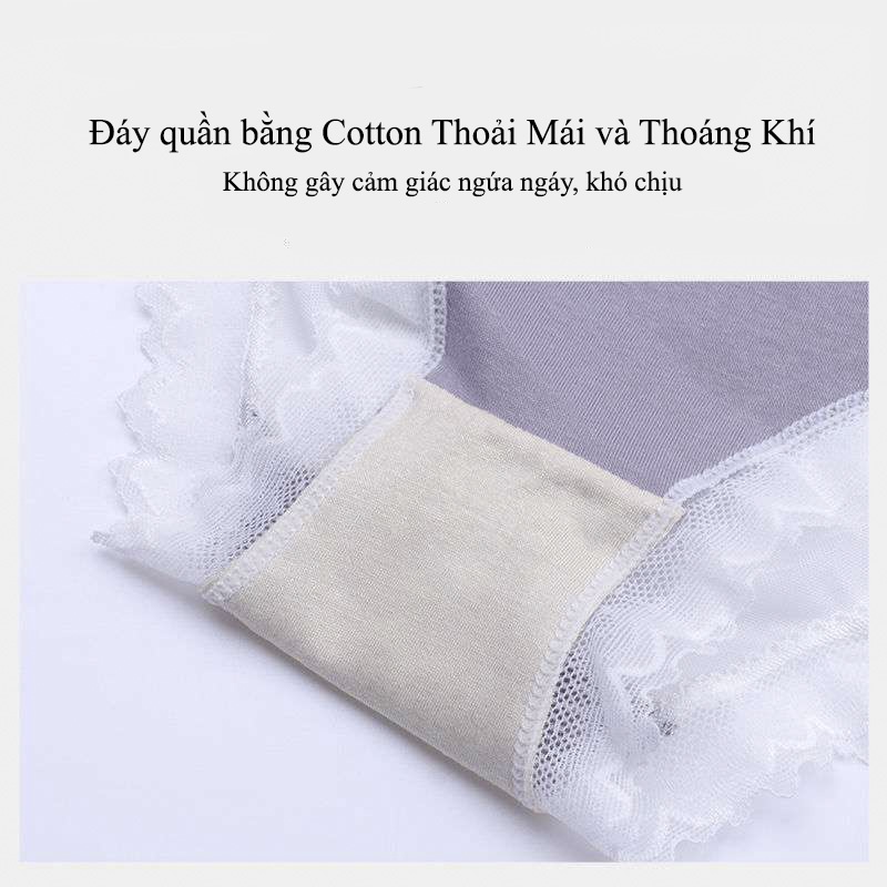 Quần Lót Cotton Phối Ren Nữ Không Đường May Sexy Cao Cấp | BigBuy360 - bigbuy360.vn