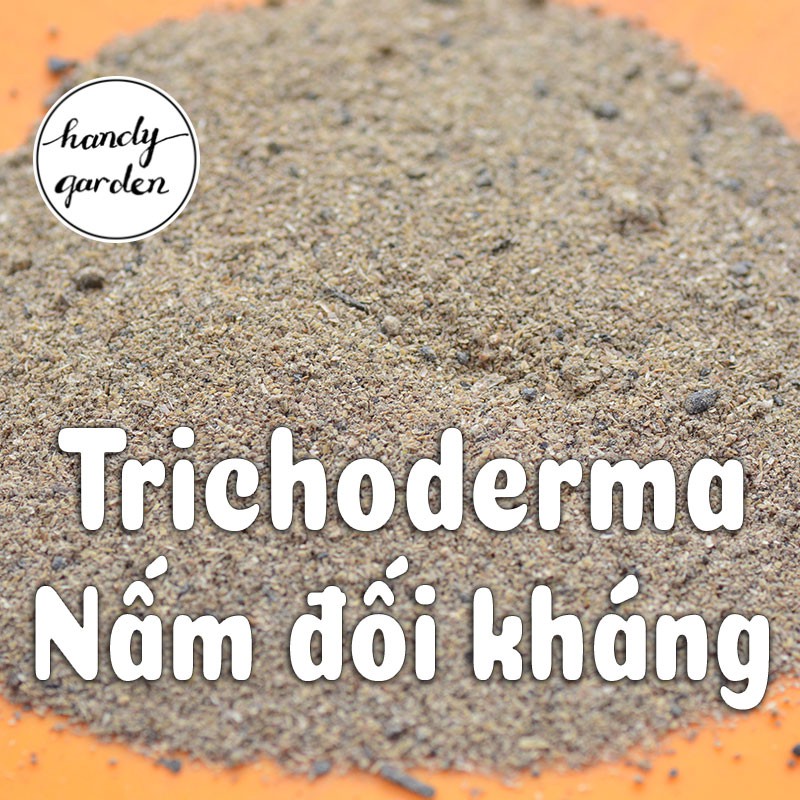 [Ship nhanh] Trichoderma Điền Trang - men vi sinh đối kháng nấm bệnh ngừa tuyến trùng rễ | HandyGarden