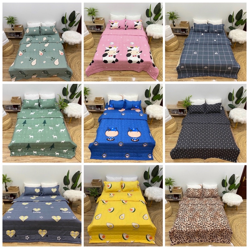 Ga Gối Trải Giường Poly Cotton M6/M8 Nhiều Mẫu Tùy Chọn (Khách chọn mẫu để lại ghi chú or chát vs shop nhé) | BigBuy360 - bigbuy360.vn
