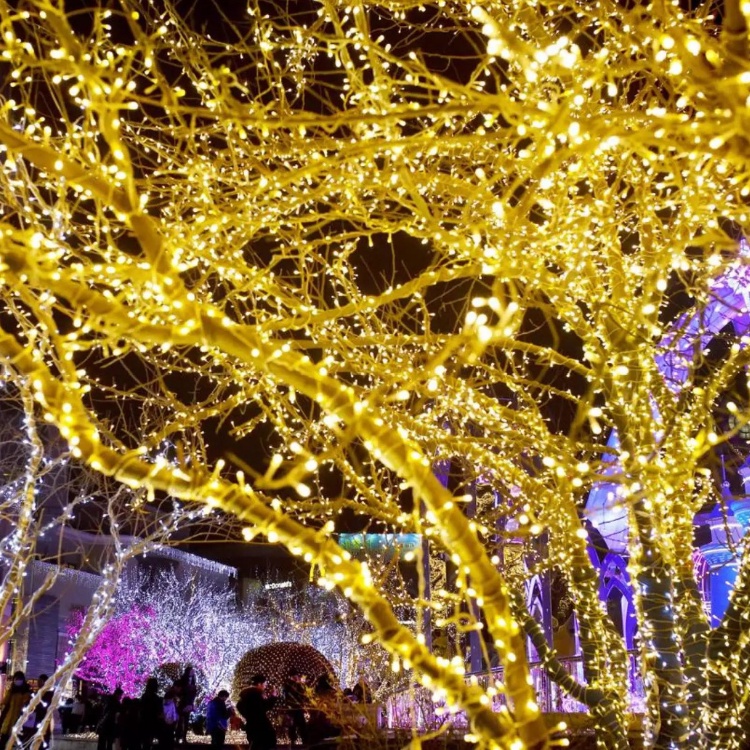 Dàn ĐÈN NHẤP NHÁY LED DÂY 5M TRANG TRÍ