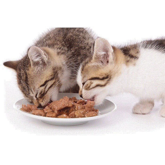 Pate MEOWCAT cho Mèo Đủ Vị Gói 70Gr | Vie PETSHOP