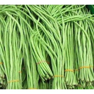 Hạt giống Đậu Đũa F1 siêu quả