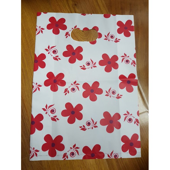 1KG TÚI HD HỘT XOÀI IN HÌNH, TÚI NILON XỐP-BBĐG