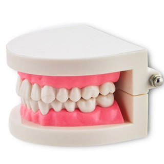 Hàm răng tập phủ sứ