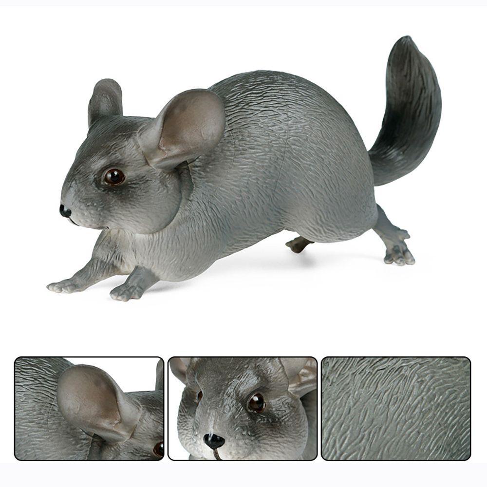 Mô Hình Chú Chuột Chinchilla Sống Động Như Thật Cho Bé