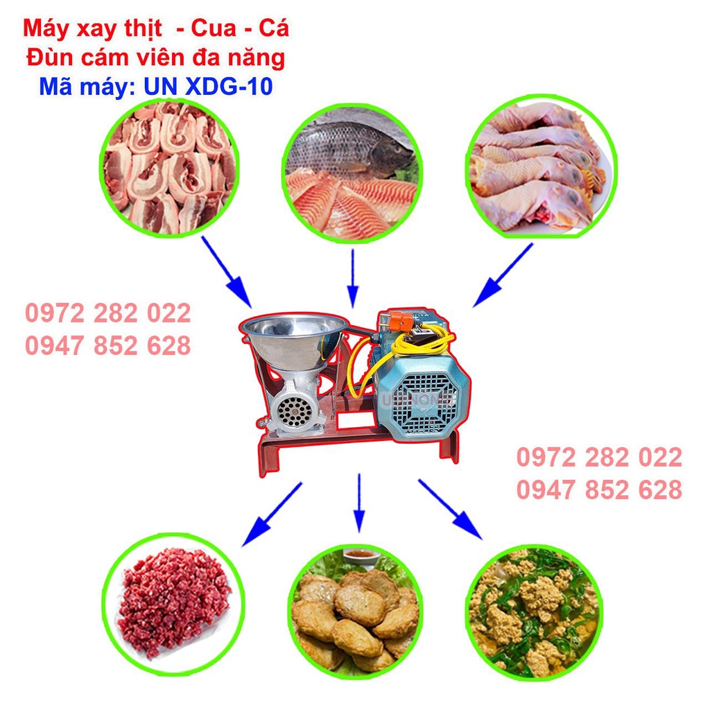 Máy xay thịt - Xay Cua - Xay Cá -  Xay xương - Đùn cám đa năng Cối 10