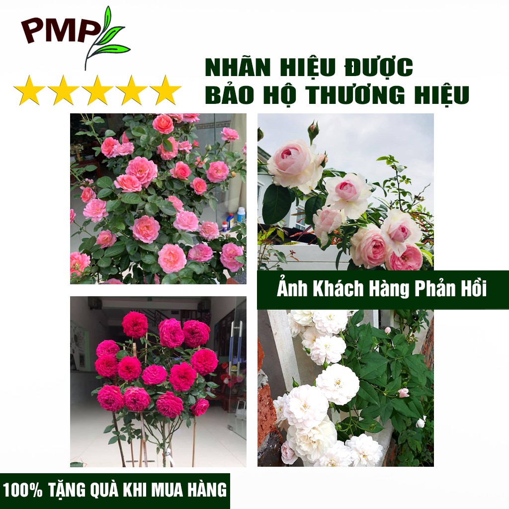 Phân Bón Hữu Cơ Vi Sinh Super Probio PMP Dạng Viên Nén, Chuyên Dụng Cho Hoa Hồng, Rau Củ Quả 1Kg