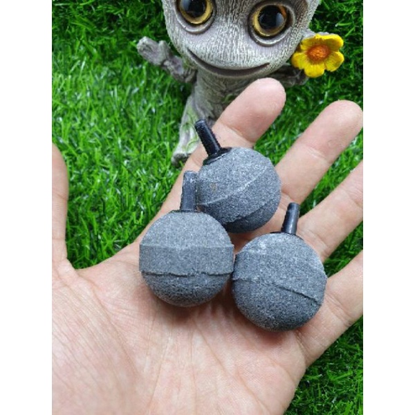 Sủi Oxy tròn siêu mịn cho hồ cá cảnh☆ Milo Guppy