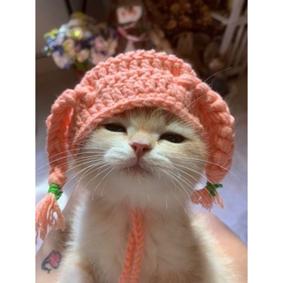 Nón len cho mèo,cún,thỏ,......