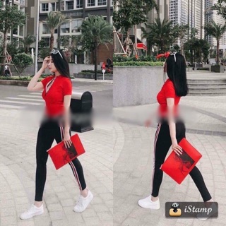 Quần leging