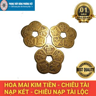 Combo 3 Đồng Hoa Mai Chiêu Tài