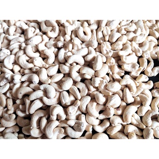 1kg Hạt điều tươi
