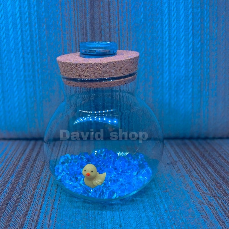 Lọ thủy tinh nắp gỗ có led/marimo-trang trí bàn học-bàn làm việc