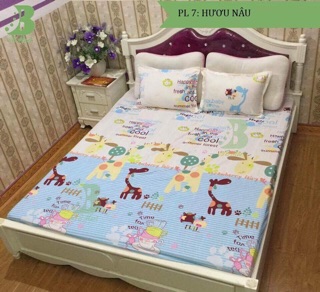 Ga chun và gối Poly