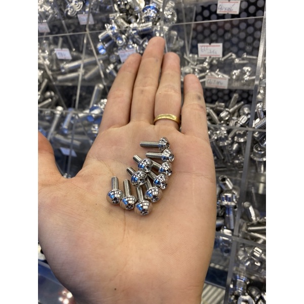 Ốc Salaya INOX304 size 4-5-6-8li xoắn - nhuyễn bắt dàn áo - đĩa