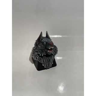 Nút bàn phím giành cho bàn phím cơ ( key cap)