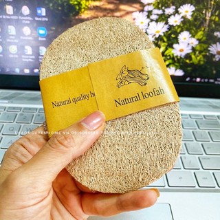 Xơ mướp rửa bát/ miếng rửa bát
