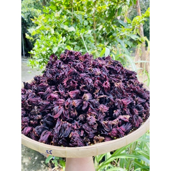 atiso đỏ sấy khô