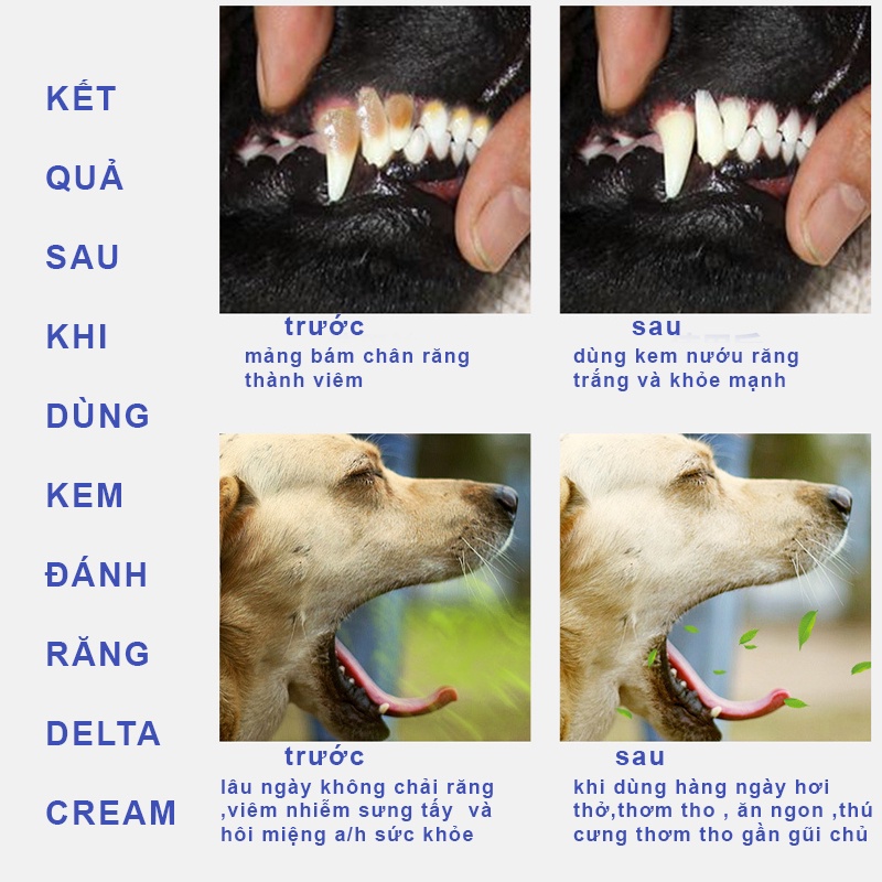 Bộ kem đánh răng cho chó ăn được Hipipet Delta Cream hương vị bò sạch răng niếu hơi thở thơm tho - 100gr