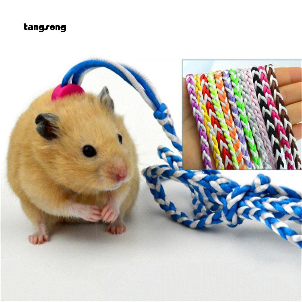 Sale 68% Dây giữ chuột hamster dài 1.4/2m dùng khi đi dạo, Random Color 1.4M Giá Gốc 23000 đ - 1K59