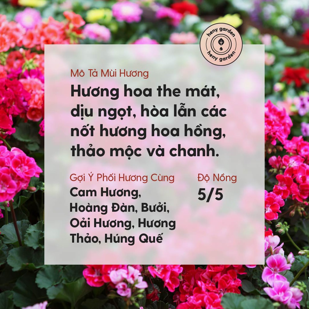 Tinh Dầu Phong Lữ (Hoa The Mát) Organic Thiên Nhiên Nguyên Chất Đậm Đặc Xông Thơm Phòng, Làm Nến Thơm HENY GARDEN