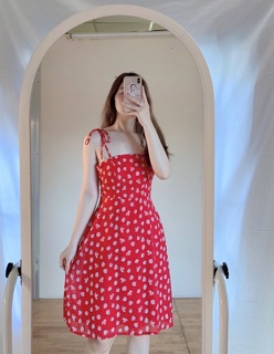 ĐẦM HOA HAI DÂY KÈM HÌNH THẬT