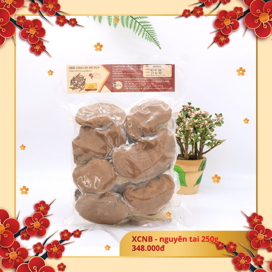 Xích Chi Giống Nhật Bản Nguyên Tai Vị Đắng - Túi 250g - Nấm Linh Chi PLN