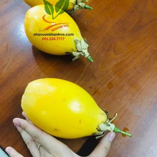 Cây giống chanh leo vàng columbia