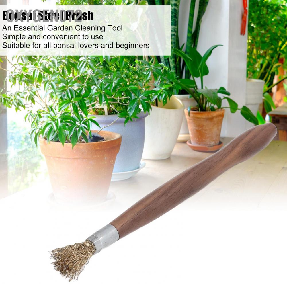 Oxygen072 Steel Wire Brush Wearable Rust Proof Wood Handle Professional Bonsai Cleaning Tool for Potted Plants Bàn Chải Cọ Rửa Cây Cảnh